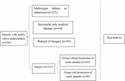 Results of the inoperable and operable with aortic valve endocarditis